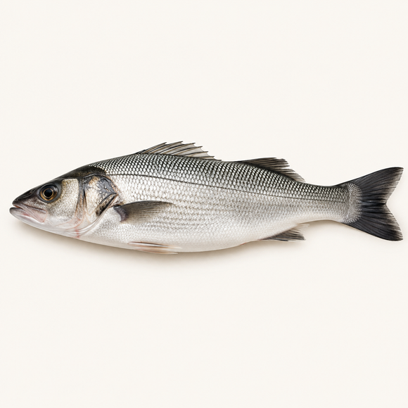 Greek Farmed Sea Bass, Whole — 800–1000g | Fresh — product image
