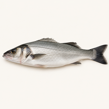 Greek Farmed Sea Bass, Whole — 400–600g | Fresh — product image