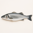 Wild Line-Caught Sea Bass 2–3kg | France | Fresh | Priced per kg — product image