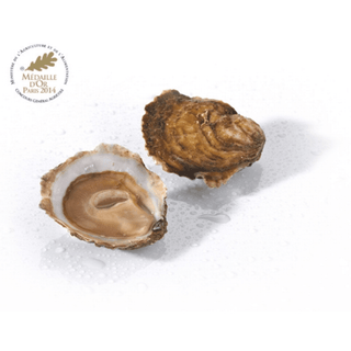 Prat - Ar - Coum Flat Oysters No2, 12 pieces - Les Gastronomes