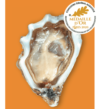 Roumégous Spéciale Oysters No3. 24 pieces (best before 02/10/2025) - Les Gastronomes