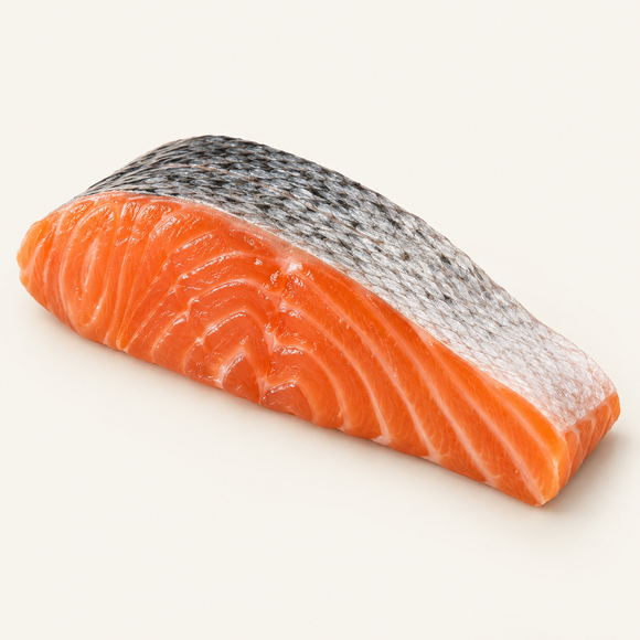 Fresh Scottish salmon fillet portion, skin-on and pin-boned