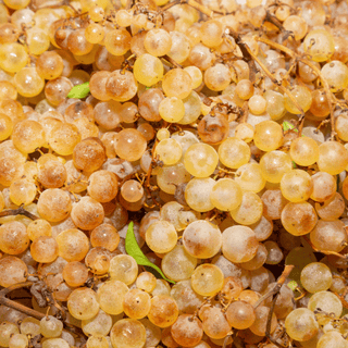 White Chasselas Grapes - 500g - Les Gastronomes