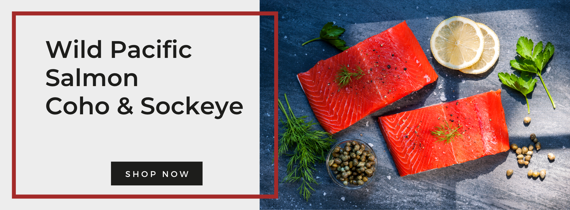 Wild salmon q4 website slideshow