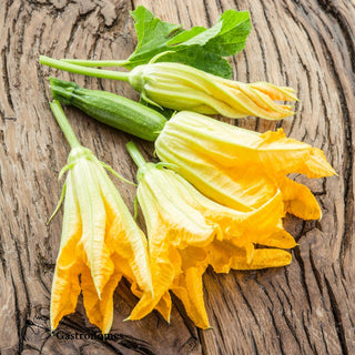 Zucchini Flowers - Les Gastronomes