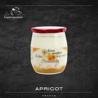 Apricot Yoghurt - Les Gastronomes