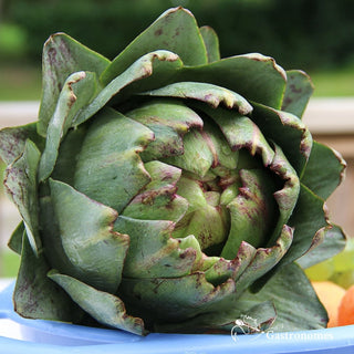 Artichokes - piece - Les Gastronomes