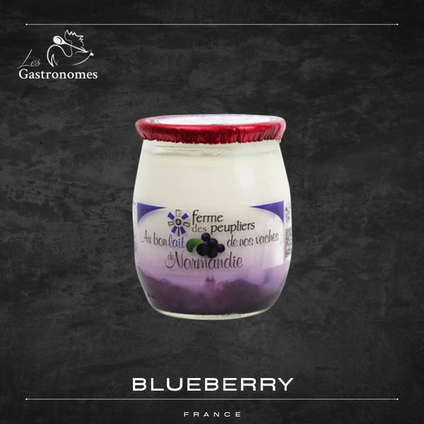 Blueberry Yoghurt - Les Gastronomes