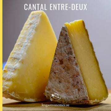 Cantal AOC cheese (entre deux) - French semi-hard cow's milk cheese with a rich, buttery flavor and crumbly texture