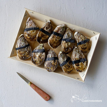 Fresh Dibba Bay oysters no2 grade, 10 pieces arranged on ice, premium seafood delicacy for gourmet seafood lovers