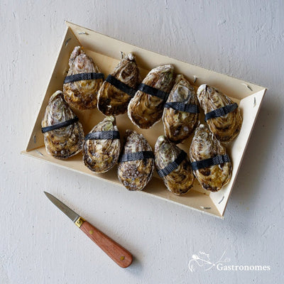 Fresh Dibba Bay oysters no2 grade, 10 pieces arranged on ice, premium seafood delicacy for gourmet seafood lovers