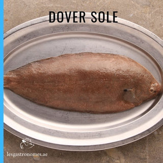 Dover Sole Wild Frozen - ±900g - Les Gastronomes