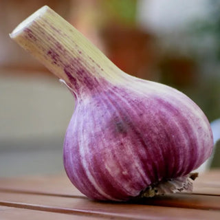 Fresh Garlic - piece ±210g - Les Gastronomes