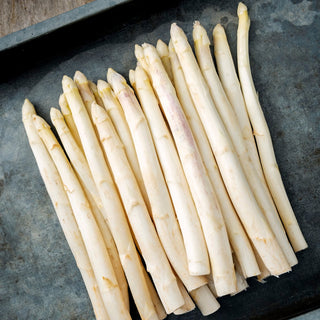 Fresh white asparagus, caliber 22+ premium grade, displayed on a natural background ready for cooking