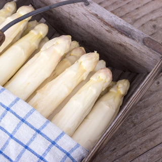 Fresh white asparagus caliber 22+ arranged neatly on wooden surface, premium quality seasonal vegetable for gourmet dishes