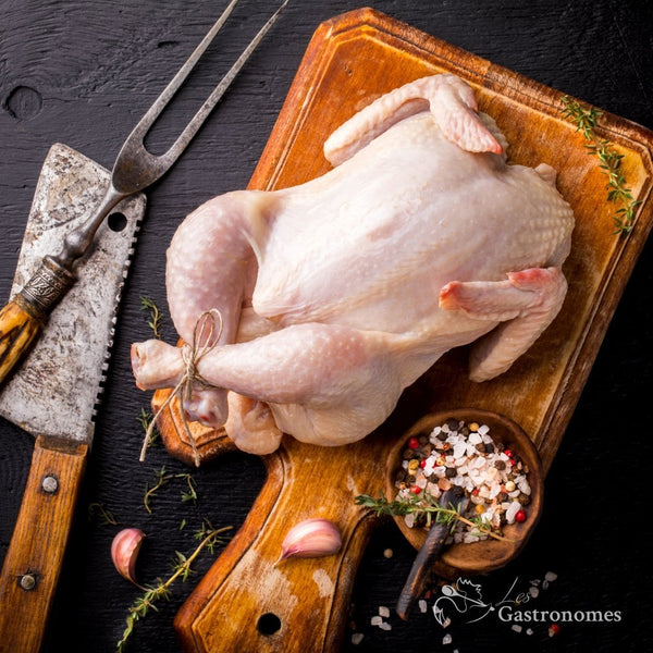 Frozen turkey from France, free range organic poultry with white natural meat for holiday dinners and celebrations