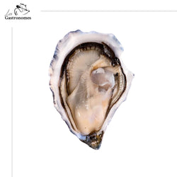 Gillardeau Spéciales No2 - 12 pieces - Les Gastronomes