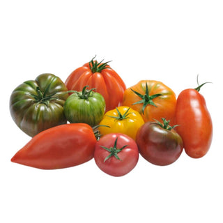 Gourmet Tomatoes Heirloom - 3.4kg - Les Gastronomes