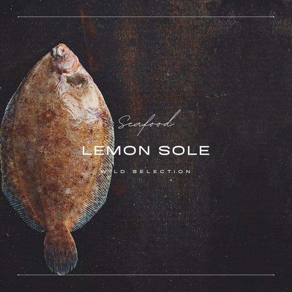 Lemon Sole - ±550g - Les Gastronomes