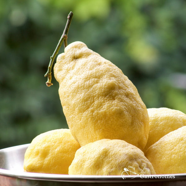 Lemons from Amalfi - untreated - 1Kg - Les Gastronomes