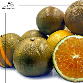 Delicious chocolate-covered navel oranges in a 1kg gift box, perfect for special occasions and citrus lovers