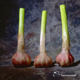 New, Fresh Purple Garlic - piece - Les Gastronomes