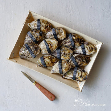 Fresh Dibba Bay oysters no4 in shell, pack of 16 pieces arranged on ice, premium seafood delicacy for gourmet meals