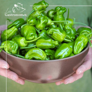 Padron Peppers 250g - Les Gastronomes