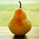 Pear William Green per piece - Les Gastronomes