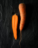 Sand Carrots - Carotte des Sables AOP 500g - Les Gastronomes