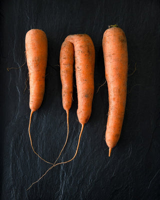 Sand Carrots - Carotte des Sables AOP 500g - Les Gastronomes