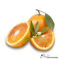 Tarocco Orange Organic from Italy - 1Kg - Les Gastronomes