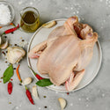 Fresh frozen whole turkey with convenient pop-up timer indicator, ready for holiday roasting