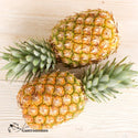 Victoria Pineapple - Reunion Island - Les Gastronomes