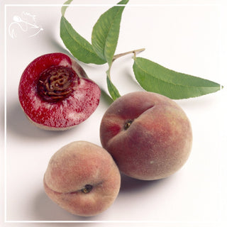 Vine Peach per piece - Les Gastronomes