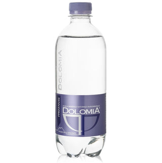 Water Dolomia Sparkling PET Bottle 500mL (24 bottles) - Les Gastronomes