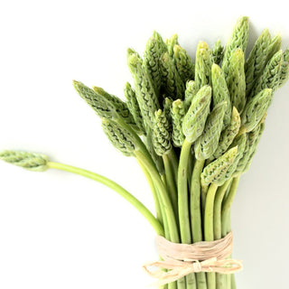 Wild Asparagus Bunch of 200g - Les Gastronomes