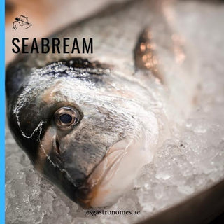Wild Royal Seabream - 900g to 1.1 Kg - Les Gastronomes