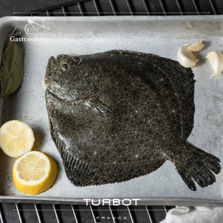 Wild Turbot 1.5Kg - Les Gastronomes